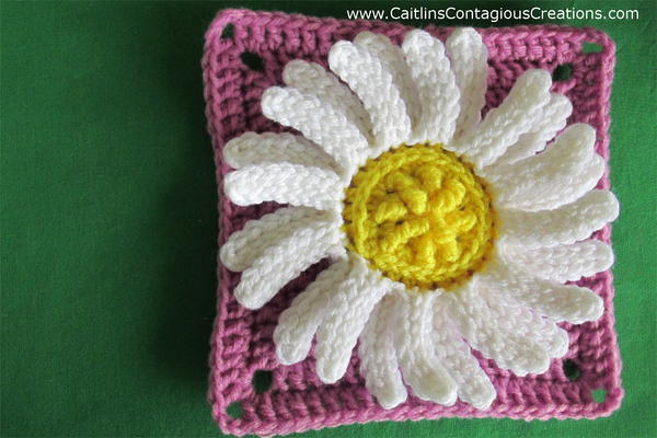 Daisy Square Crochet Pattern Daisy Square Crochet Pattern