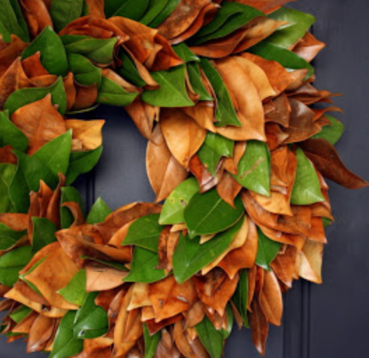 Real Magnolia Leaf Wreath Real Magnolia Leaf Wreath