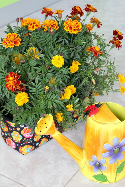 DIY Fabric Planter DIY Fabric Planter