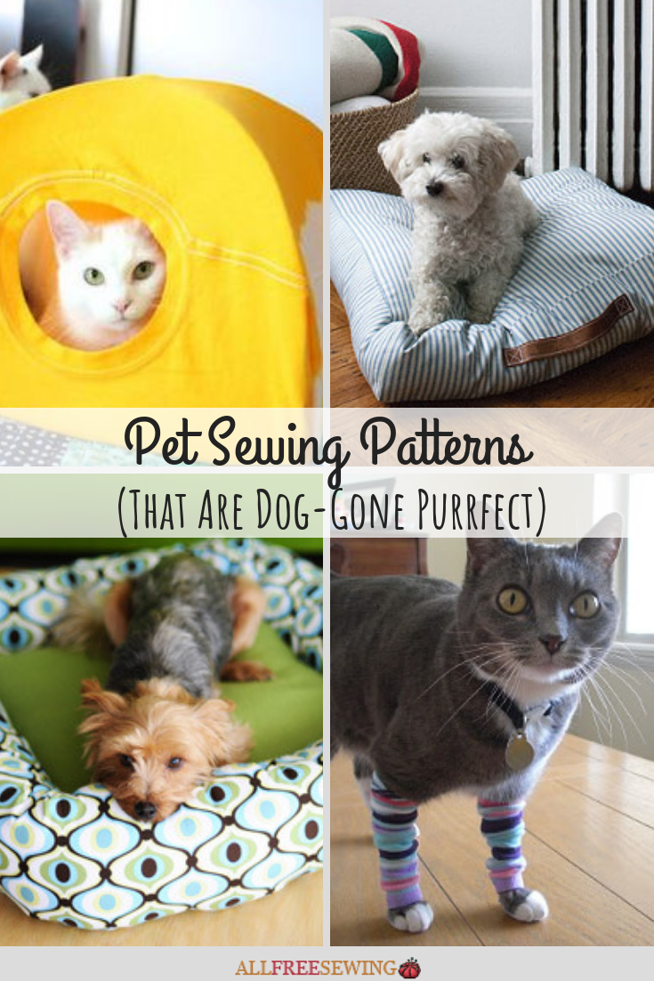16 Pet Sewing Patterns (That Are DogGone Purrfect)