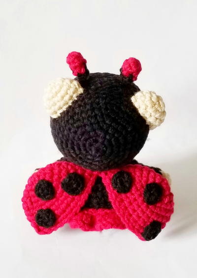 Ladybug Bear Ladybug Bear