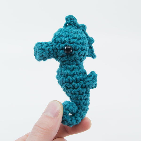 Sal the Seahorse Sal the Seahorse