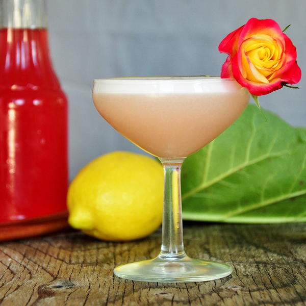 Limoncello and Rhubarb Cocktail – Barb’s Special Roux