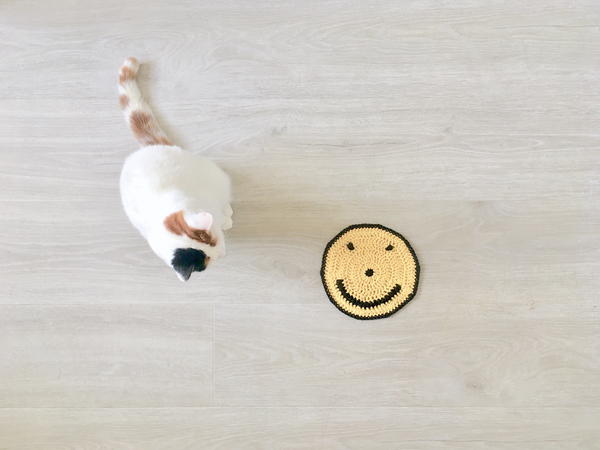 The Happy Face Cloth Pattern The Happy Face Cloth Pattern