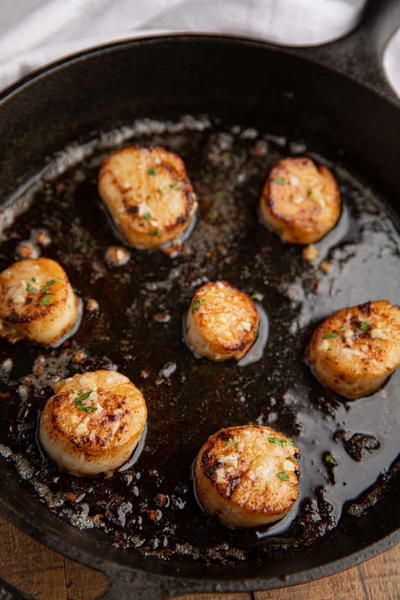 Pan Seared Scallops Pan Seared Scallops