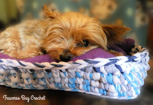 Fettucini Cat Dog Pet Bed Fettucini Cat Dog Pet Bed