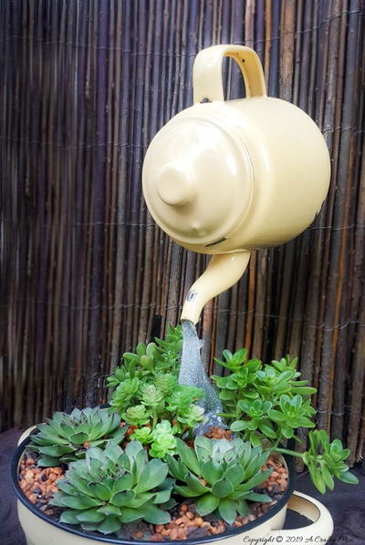 Floating Teapot Succulent Planter