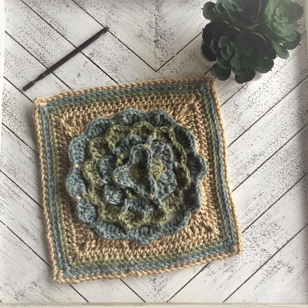 Succulent Square Succulent Square