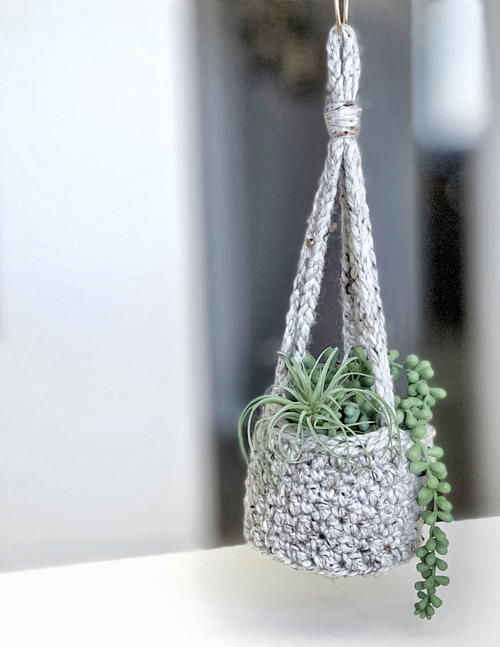 The Lemon Peel Planter The Lemon Peel Planter