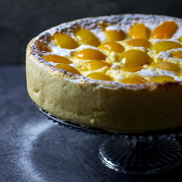 Apricot Cheesecake Apricot Cheesecake
