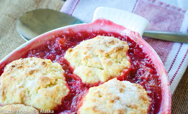 Old Fashioned Rhubarb Cobbler Old Fashioned Rhubarb Cobbler