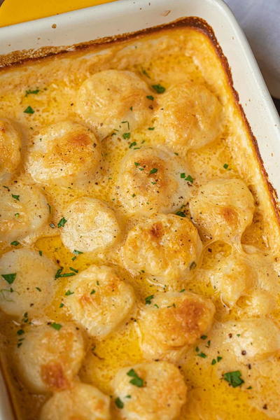 Scallop Gratin Scallop Gratin