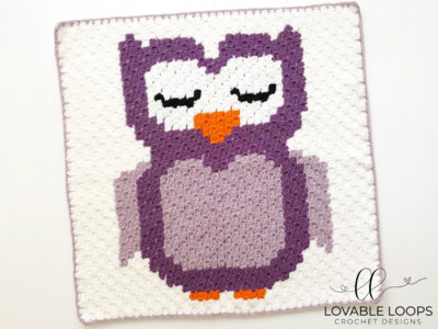 Owl c2c Baby Blanket