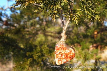 Ice Makes Nice Bird Feeders