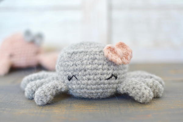 Sharlotte The Spider Sharlotte The Spider