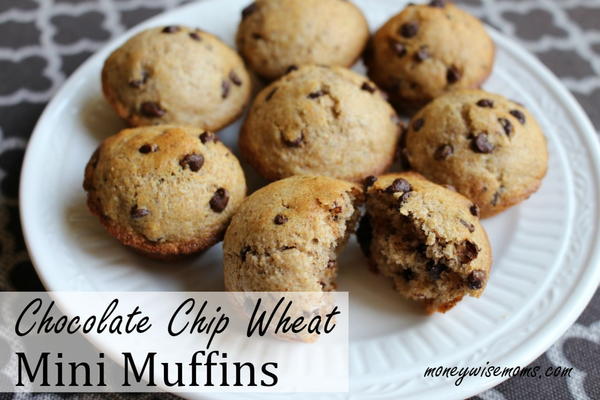 Chocolate Chip Wheat Mini Muffins Chocolate Chip Wheat Mini Muffins