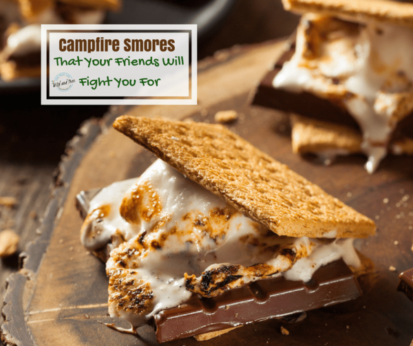 Campfire Smores Campfire Smores