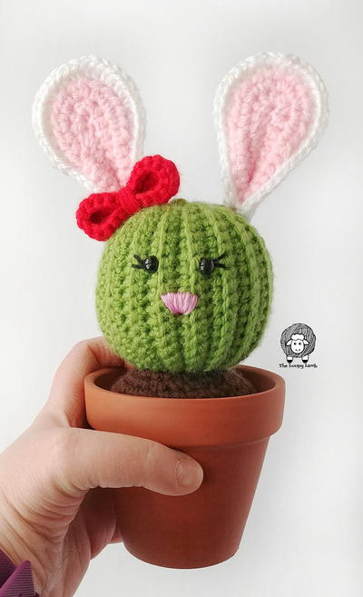 Penny the Bunny Cactus Penny the Bunny Cactus