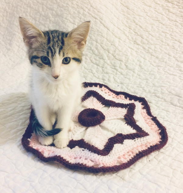 Jewels Flower Motif Jewel's Flower Motif