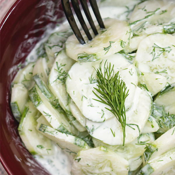 German Cucumber Dill Salad German Cucumber Dill Salad