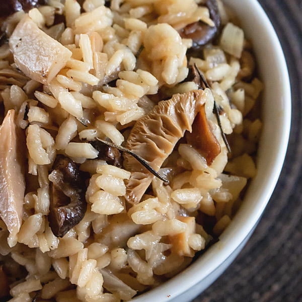 3 Mushroom Risotto 3 Mushroom Risotto
