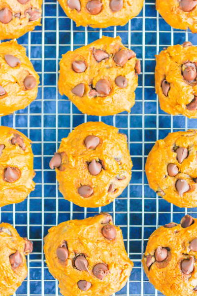 Pumpkin Chocolate Chip Cookies Pumpkin Chocolate Chip Cookies