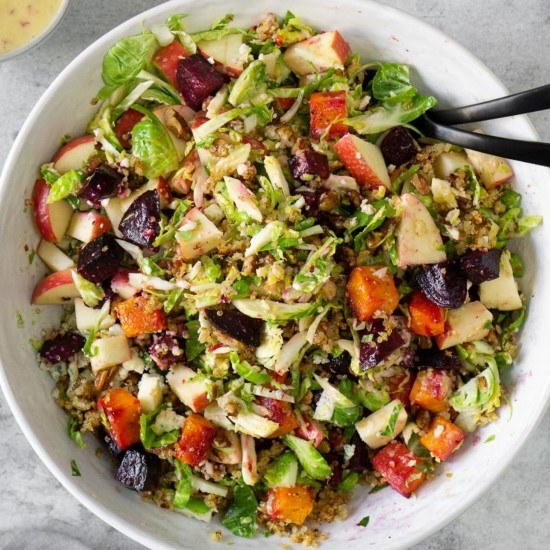 Fall Harvest Salad with Champagne Apple Cider Vinaigrette Fall Harvest Salad with Champagne Apple Cider Vinaigrette