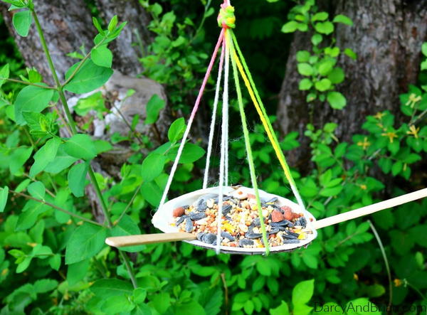 How to Make a Seashell Bird Feeder How to Make a Seashell Bird Feeder