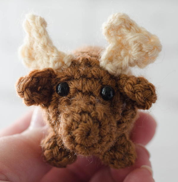 Moose Bitty Bumble Moose Bitty Bumble