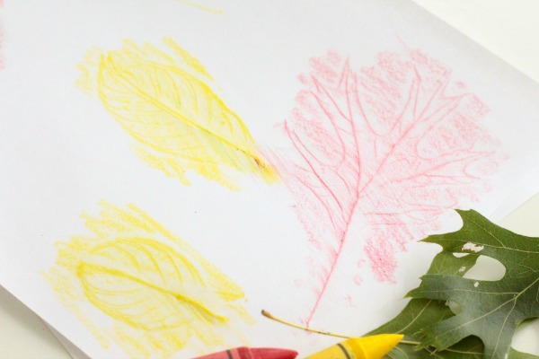 Leaf Rubbings Idea Leaf Rubbings Idea