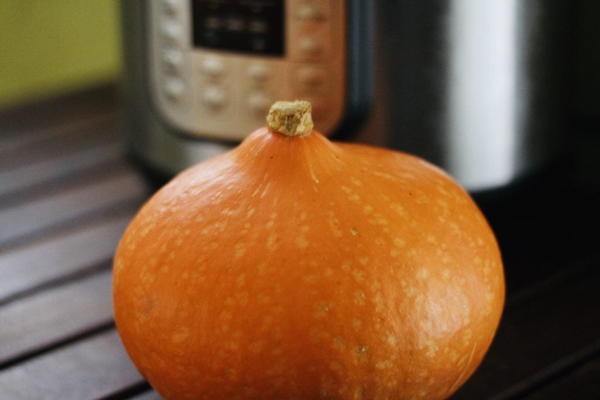 Instant Pot Pumpkin Instant Pot Pumpkin