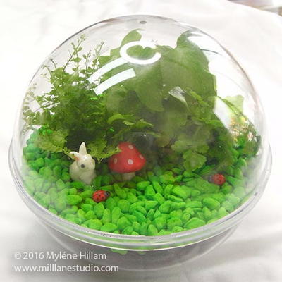 Woodland Themed Terrarium