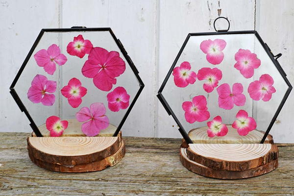 Wood slice frame stand and pressed flowers Wood slice frame stand and pressed flowers