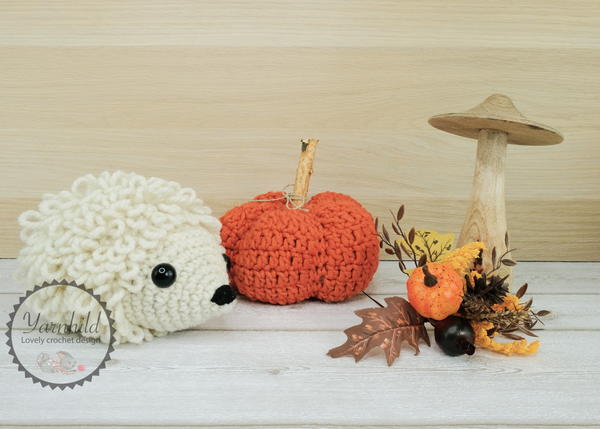 The Hedgehog Hedda The Hedgehog Hedda