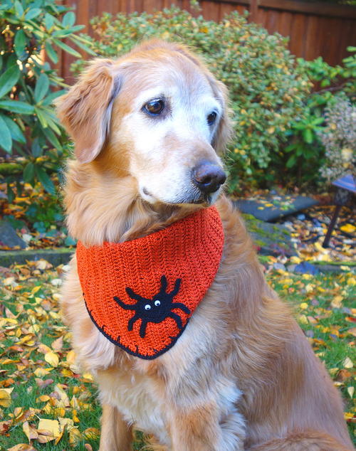 Halloween Dog Bandana Halloween Dog Bandana