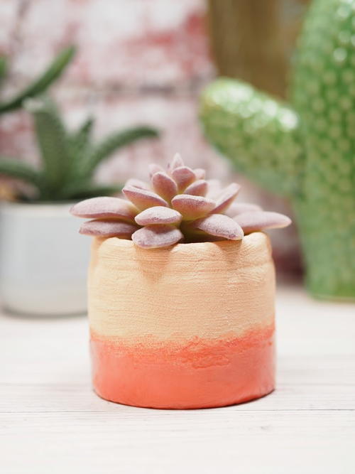 Faux Concrete Planter Upcycle Faux Concrete Planter Upcycle