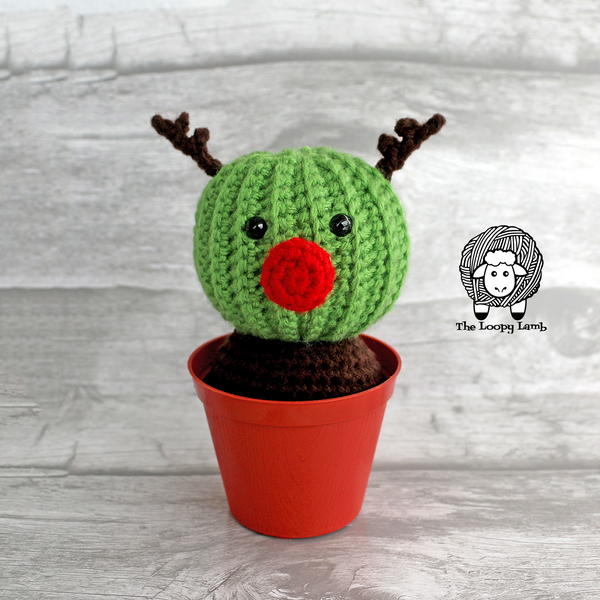 Randy the Reindeer Cactus Randy the Reindeer Cactus