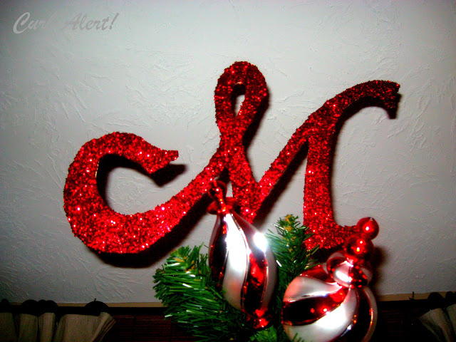 Glittery Monogram Tree Topper