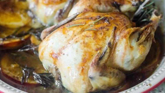 Orange Rosemary Roasted Cornish Hens Orange Rosemary Roasted Cornish Hens