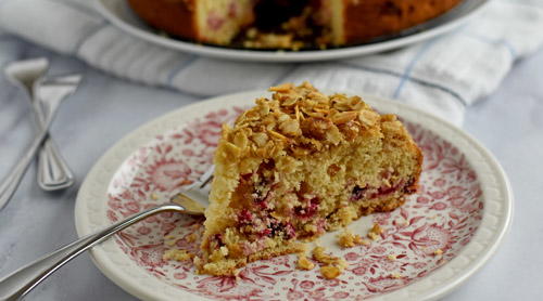 Cranberry Coffee Cake Cranberry Coffee Cake