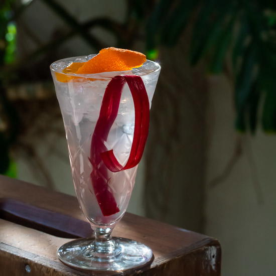 Rhubarb shrub gin fix cocktail Rhubarb shrub gin fix cocktail