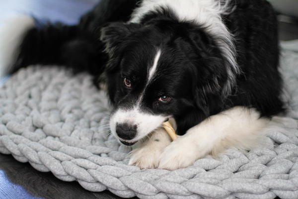 Rugzilla Crochet Rug Rugzilla Crochet Rug