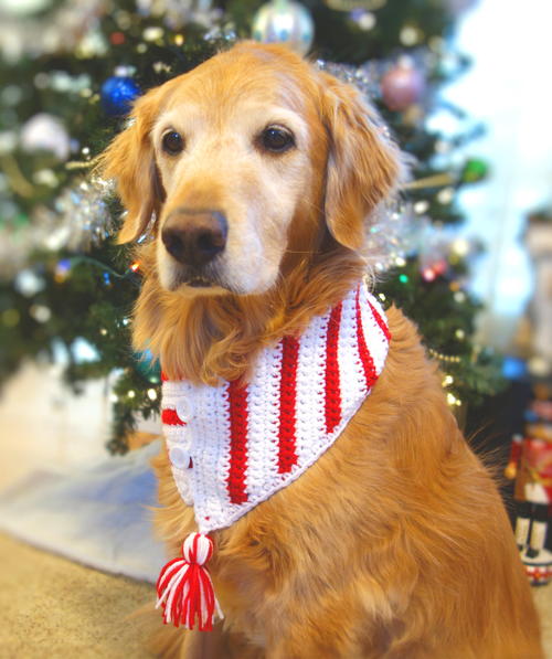 Crochet Christmas Candy Cane Dog Scarf