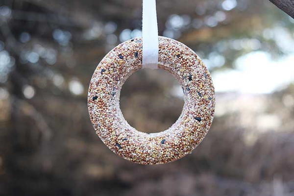 How To Make A Bird Seed Wreath Recipe How To Make A Bird Seed Wreath Recipe