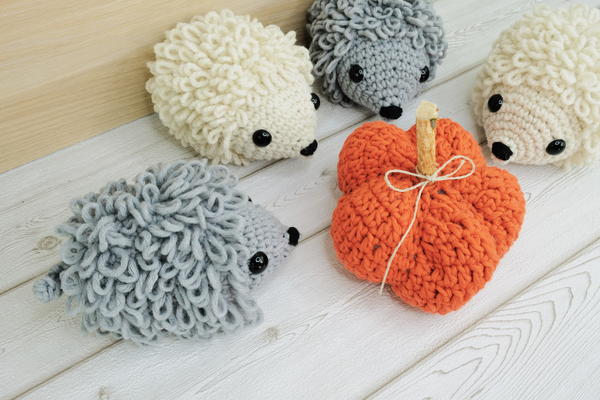 The Hedgehog Hedda The Hedgehog Hedda