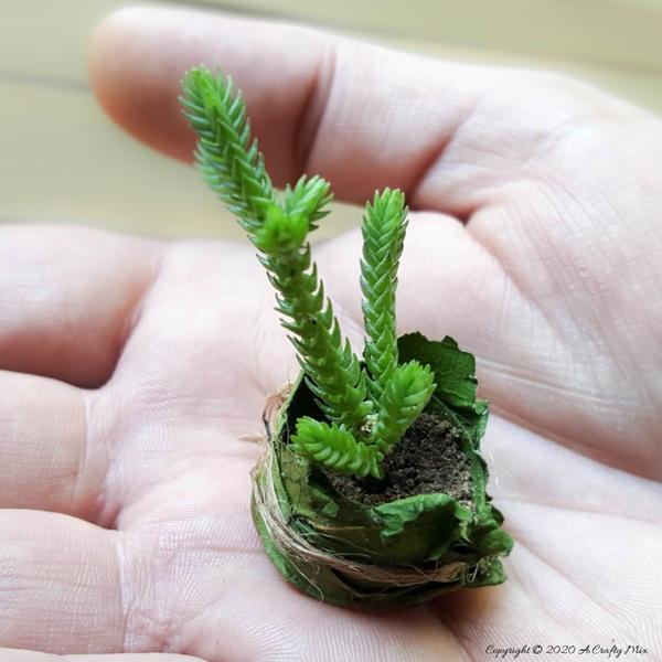 Adorable Fairy Leaf Bowls Adorable Fairy Leaf Bowls