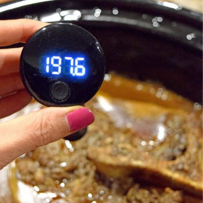 Professional Secrets 1.2 Digital Kitchen Thermometer