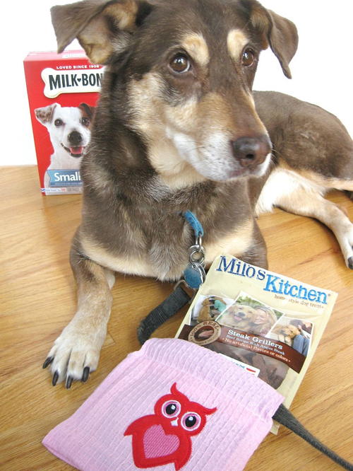 Diy Dog Waste Bag Holder Diy Dog Waste Bag Holder