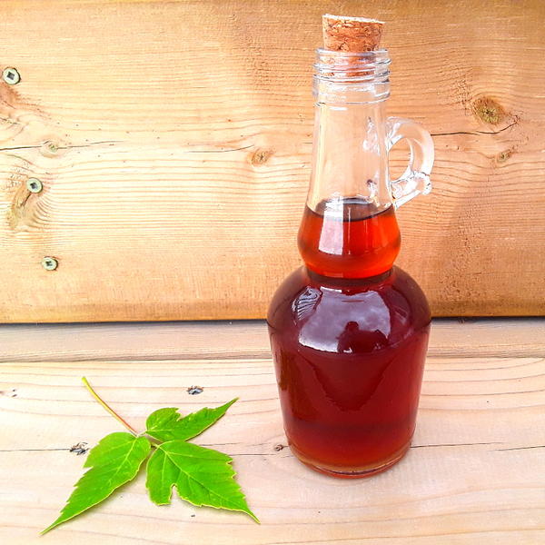 How To Make Maple Syrup How To Make Maple Syrup