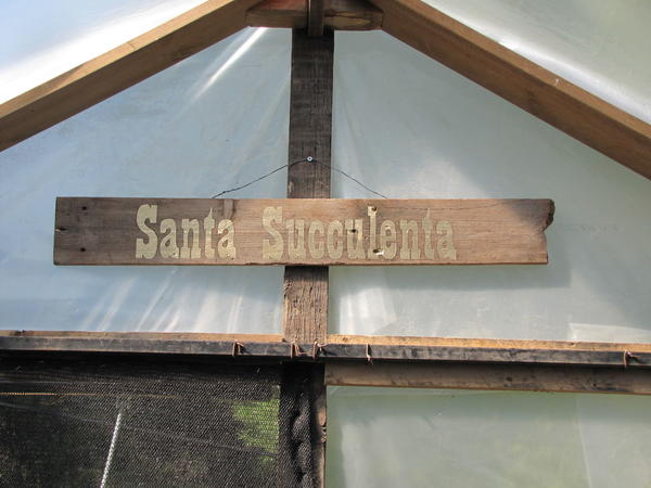 Sign On Wood Sign On Wood